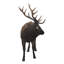 NORTH AMERICAN ELK STATUE