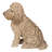 Sitting Cockapoo Statue-44488700