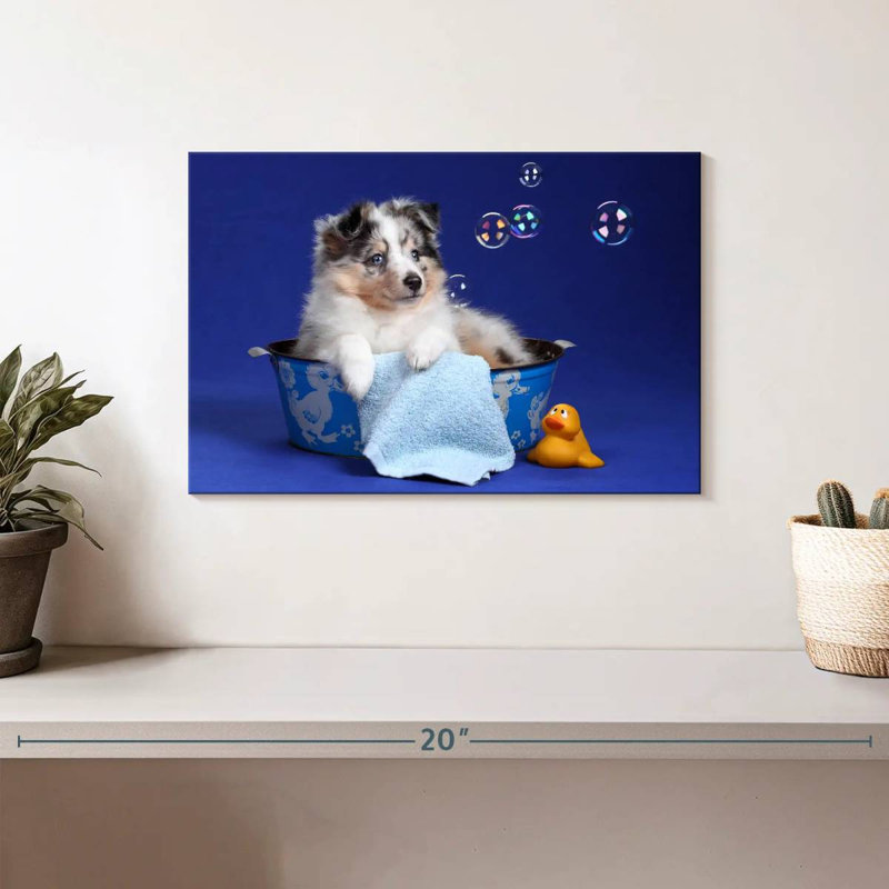 L'heure du bain chiot Brampt, H 8 po x l 12 po