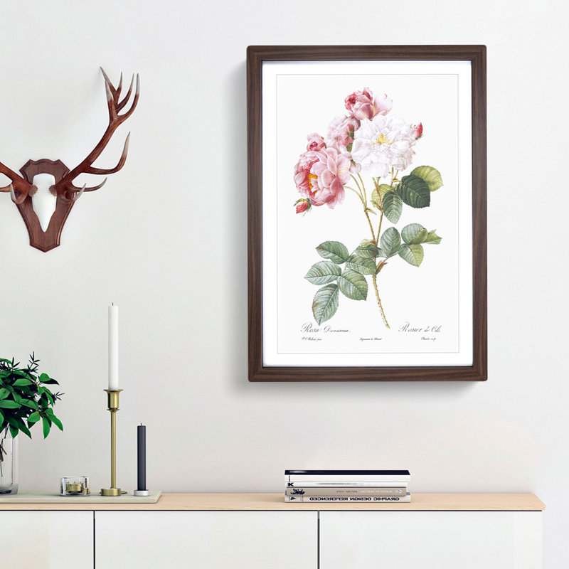 Damask Roses in Pink by Pierre-Joseph Redoute - Picture Frame Painting Print, Walnut Framed, 65cm H x 48cm W x 2cm D