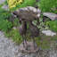 Bain d'oiseaux Crane Lily-497338012
