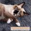 136cm H Cat Tree-1641251480