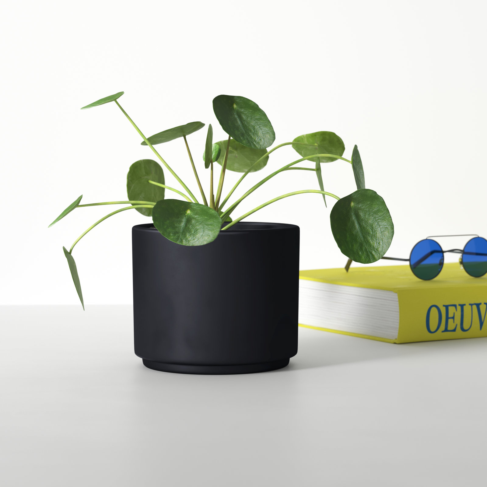 Ceramic Pot Planter, Black