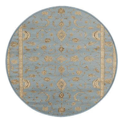 Machine Washable Persian Blue Area Rug
