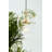 Moai 1 - Light Single Pendant-30060568-30060570