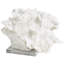 Sculpture décorative en corail blanc texturé avec base en acrylique transparent