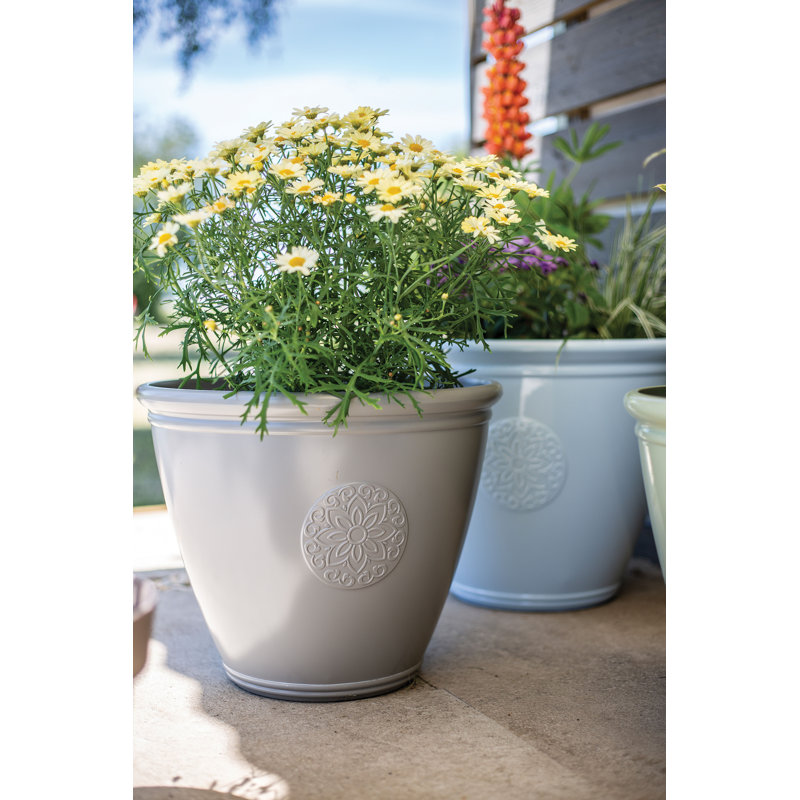 Eden Emblem Plant Pot - Plastic, Grey, 38cm H x 45cm W x 45cm D