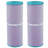 Hurricane Filters 2 Pack HF4326-01P Spa Filter Cartridge Replacement
