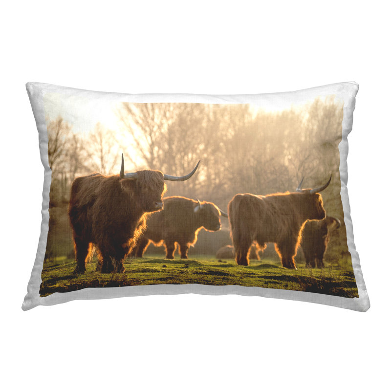 Coussin Longhorn Herd