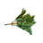 Fir Christmas Tree-52097915