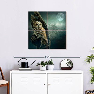 Brampt Owl At Night