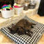 Lit pour chien Buffalo-56468084-56468088