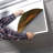 Astronomy Fluorescent Light Covers for Ceiling Lights - For 2x4 Light Fixture - by Octo Lights