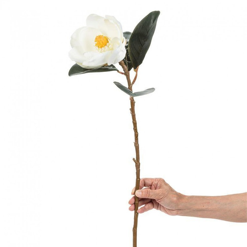 Fleur de magnolia blanc moyen