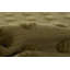 Yousra Rectangle Solid Color Handmade Flatweave Wool Area Rug in Green-2144655415