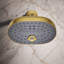 Statement™ Oval Multifunction Showerhead with Katalyst Air-Induction Technology-1971105210