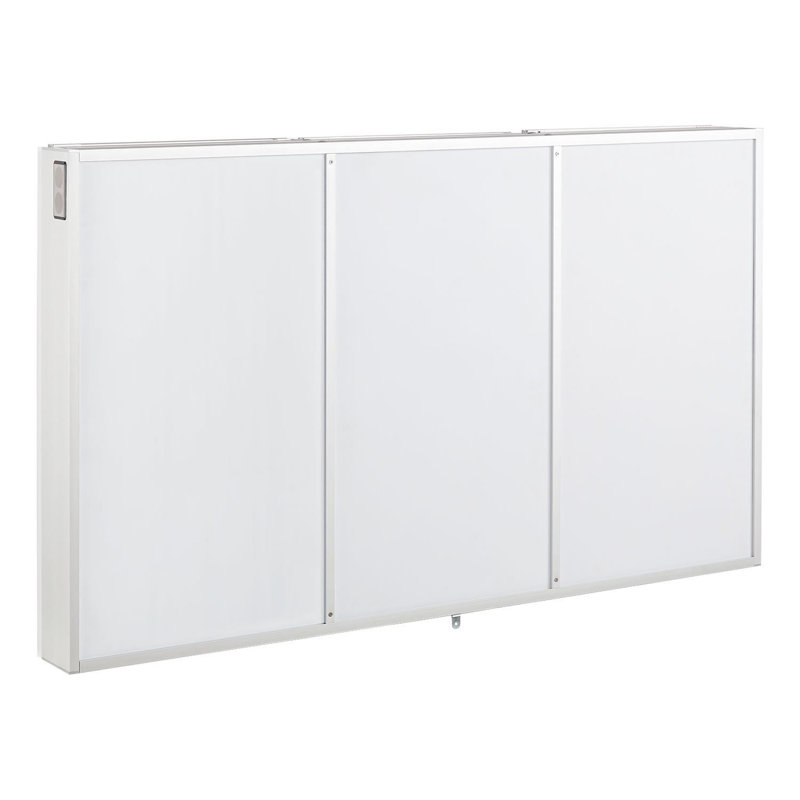 Leda 53" Frameless Lighted Medicine Cabinet with Wireless Speaker