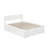Daurice Solid Wood Platform Bed with Footboard & Full Roll Out Trundle-1217918274