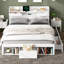 Chavira Bed