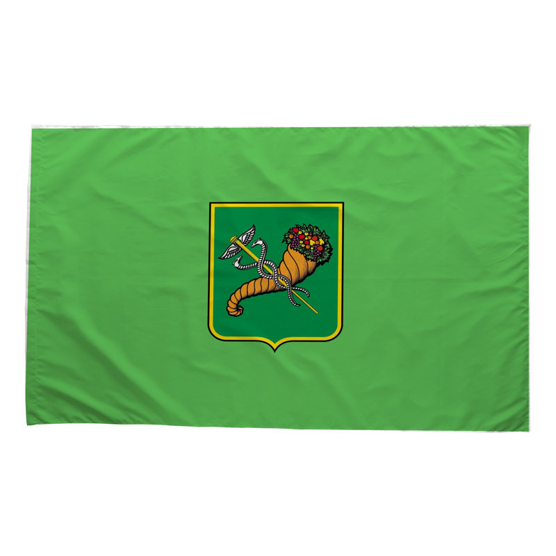 Drapeau de la ville de Kharkiv — Drapeau extérieur, H 24 po x l 36 po