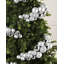 15cm Polystyrene Bauble-68840903