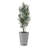 Uttermost Sonora Olive Tree In Planter