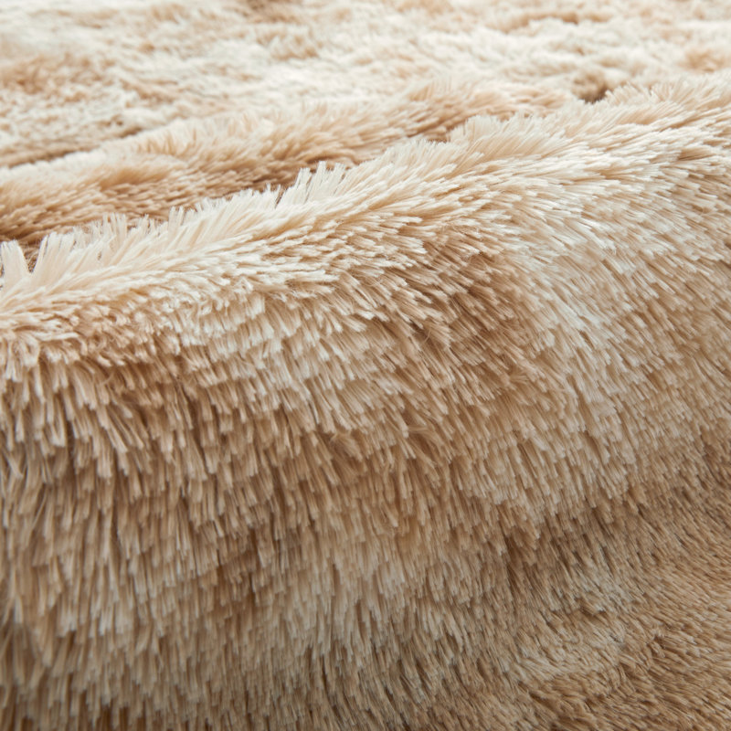 Allesha Standard Shag Area Rug, Rectangle 120 x 170 cm