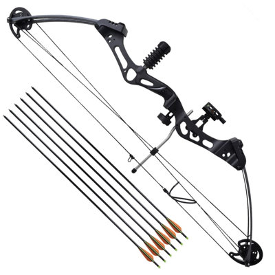 Vidaxl Adult Compound Bow With Accessories And Fibreglass Arrows