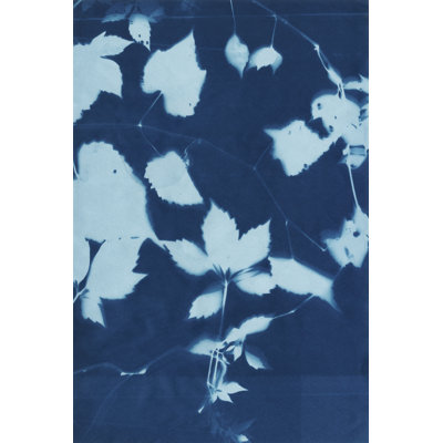 Cyanotype No.12 by Chariklia Zarris - Wrapped Canvas Painting