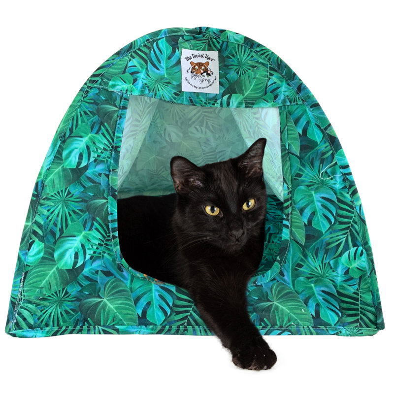 PopUp Canvas Cat Tent | Pet Bed