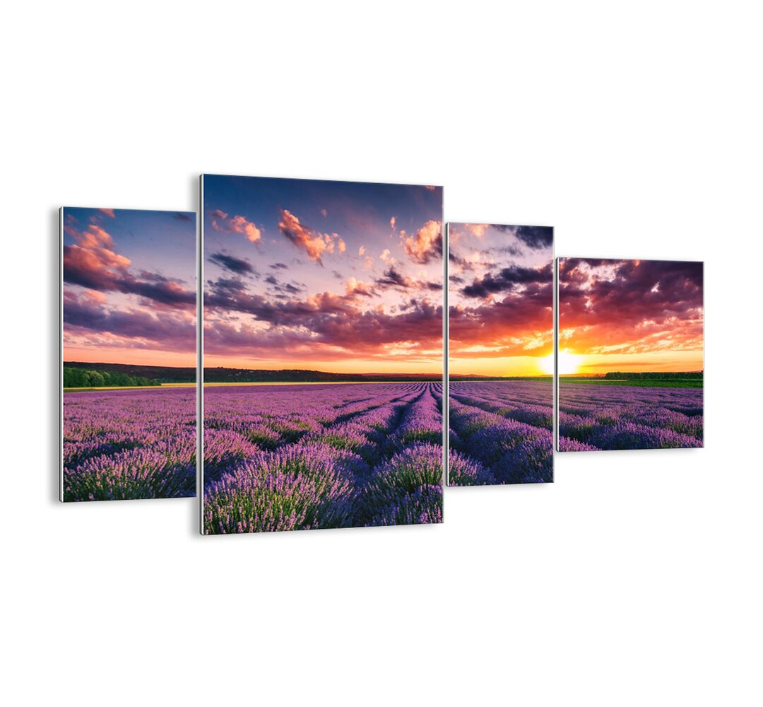 4-tlg. Glasbilder-Set - Fotografie „Lavender World”