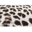 Anyssa Animal Print Area Rug-205803261
