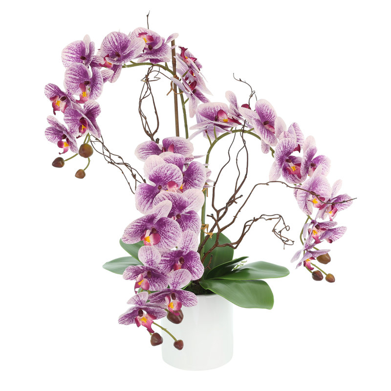 Modern Orchid Arrangement in Round Fiberstone Pot, Purple