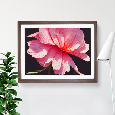 Splendorous Carnation Flower - Framed Print