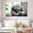 Napping Koala-107943725