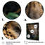 Cheetah Portrait Silent Stalk V - Animals Canvas Prints-1202649792-1202649799