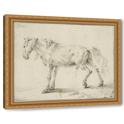 Peeing horse
