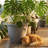 Anjelica Polyresin Large Round Outdoor Planter - 20" - Light Gray-1092639346-1092639357