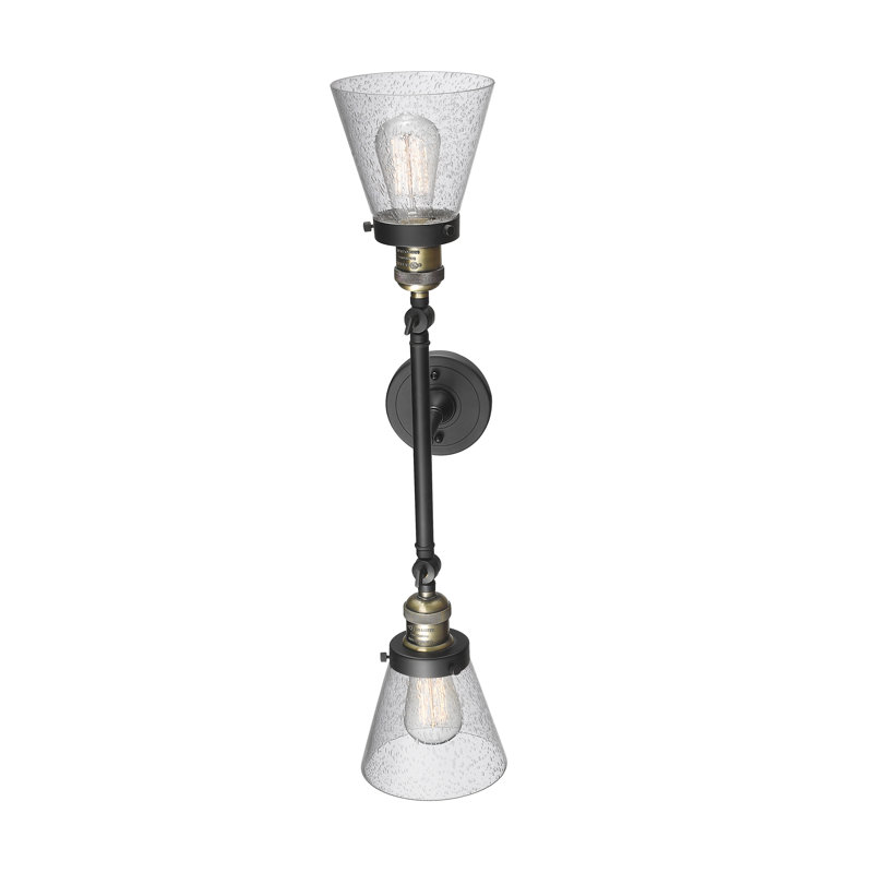 Cone 2 Light Tiltable Bath Vanity Light, 60 Watt Vintage Incandescent Bulb, Seedy, Black Antique Brass