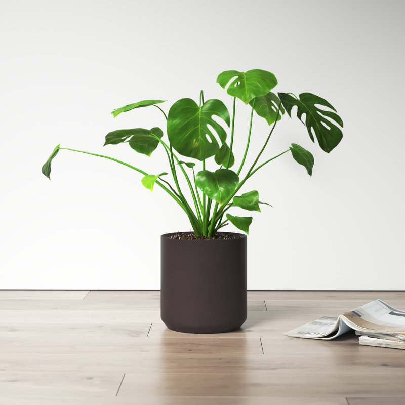 Parsons Handmade Ceramic Pot Planter, Black
