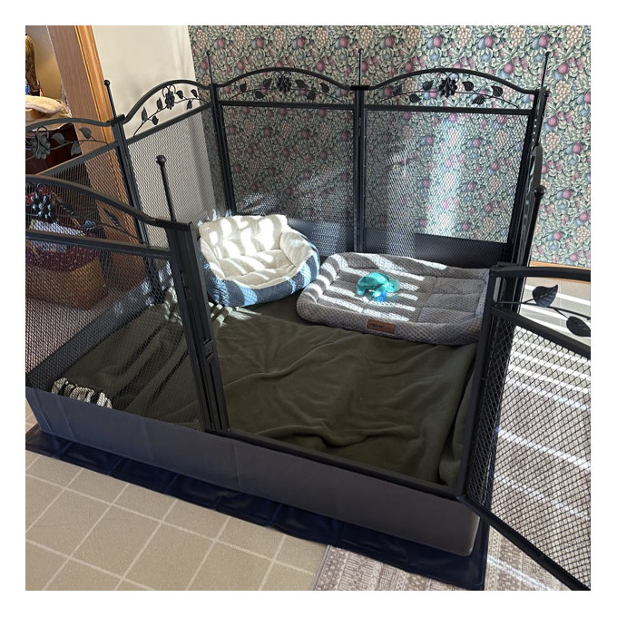 Archie Oscar Ian 126cm Dog Whelping Pen Reviews