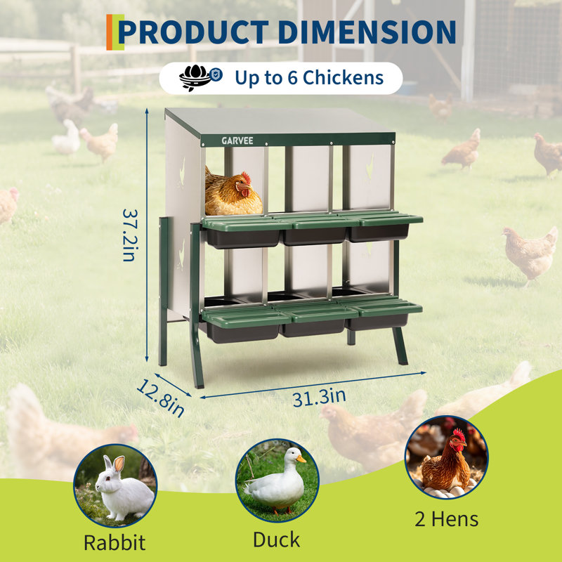Boîte de nidification à 6 compartiments pour poulets en métal - robuste, ventilée, plateau et perchoir amovibles, facile à nettoyer, collection efficace d'œufs pour poules, canards, oies - vert avec motif de poulet - 6 compartiments