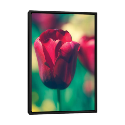 «Tulip Sway I», reproduction de photo sur toile