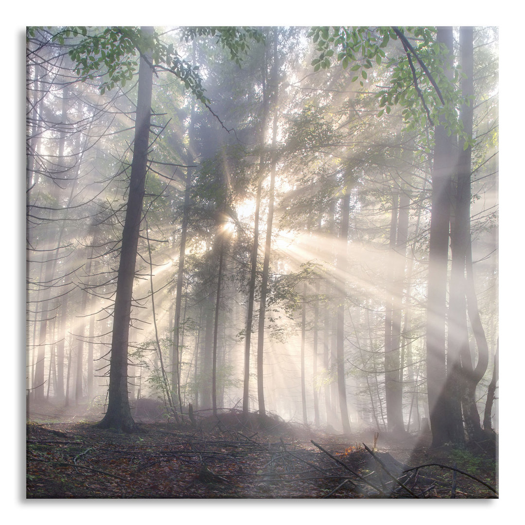 Glasbild Diesiger Waldweg