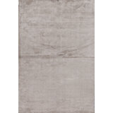 Area Rug in Beige