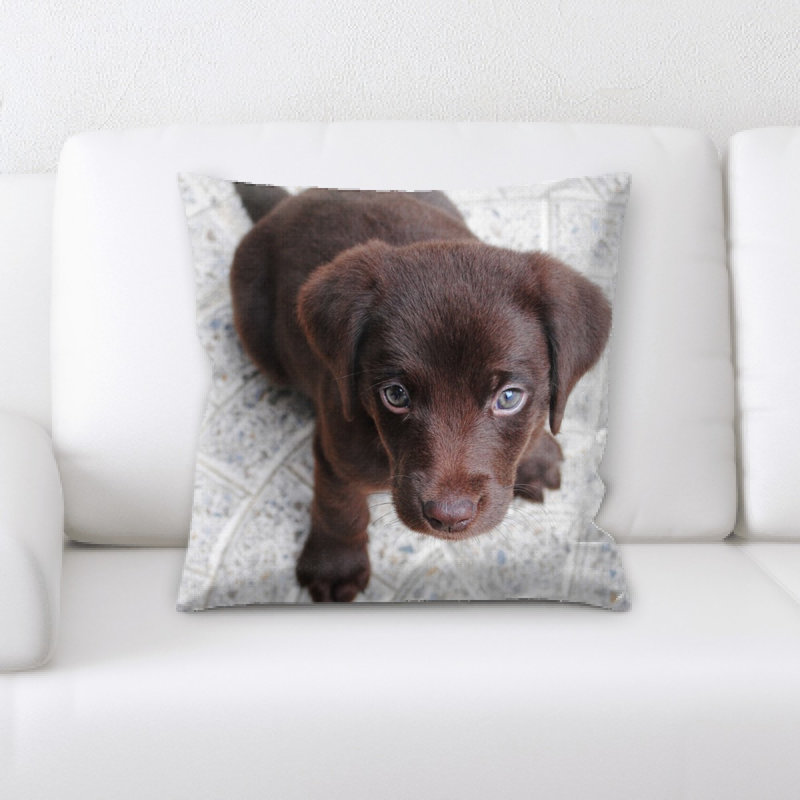 Coussin chiot