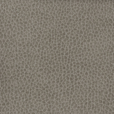 Matter Fabric