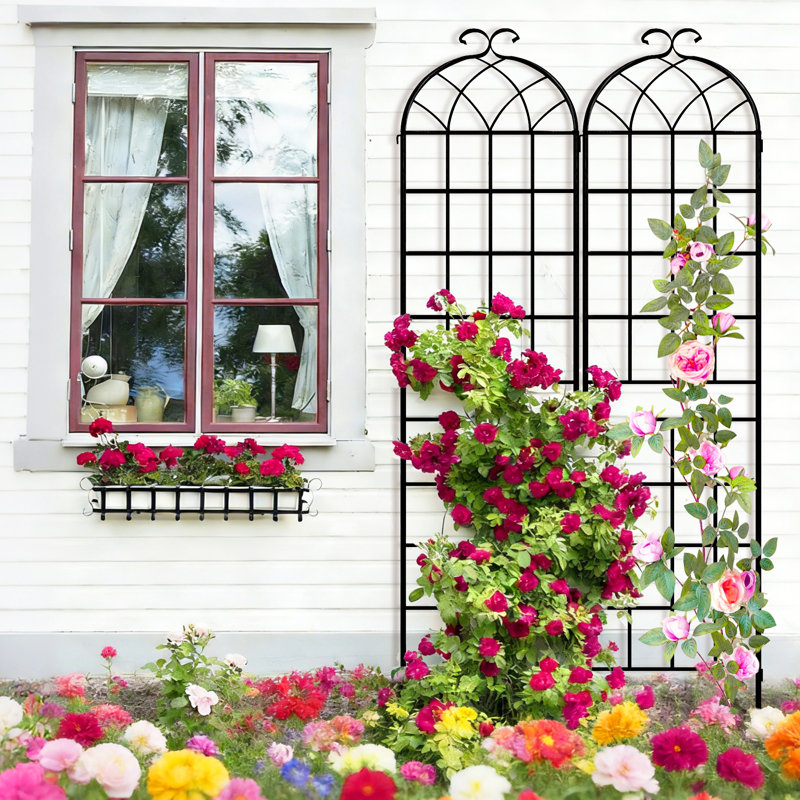 Garden trellis , durable metal material for supporting climbing plants,outdoor use, 82.7"H x 40"W, Black