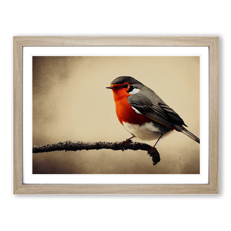 Beautiful Robin Bird - Single Picture Frame Print, 34cm H x 46cm W x 2cm D, Oak Frame