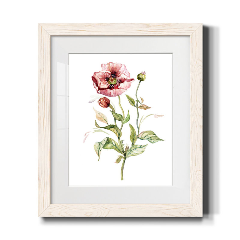 Coquelicot sauvage - reproduction de photo encadrée sur papier, H 20 po x l 17 po x P 1,5 po, Cadre blanc